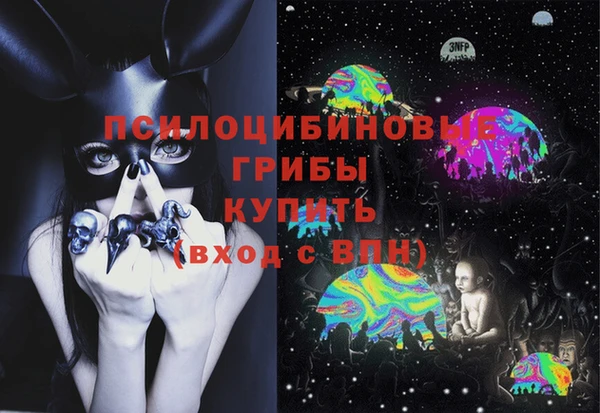 твердый Алексеевка
