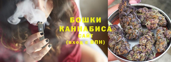 шишки Михайлов