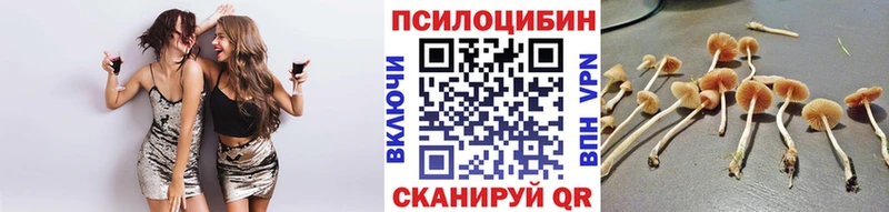 Галлюциногенные грибы прущие грибы цена hydra как зайти Хотьково